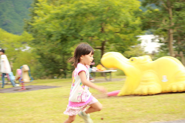 今宮公園 静岡県安倍口でいちごあきひめに情熱をかける百姓日記