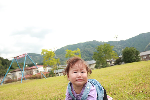 今宮公園 静岡県安倍口でいちごあきひめに情熱をかける百姓日記